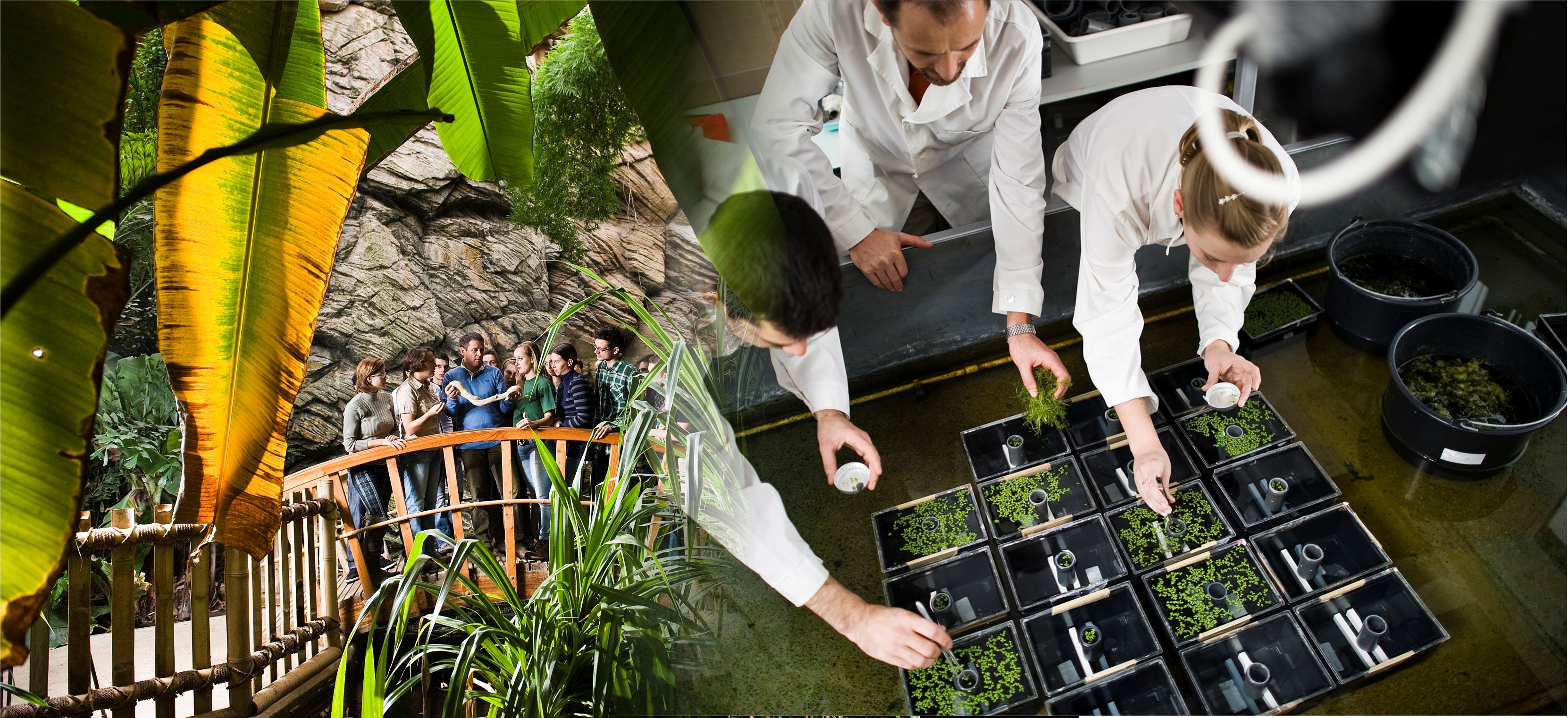 Környezet- és Természettudományi Intézet